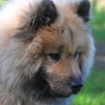 Программы лояльности казино без депозита для экономных игроков